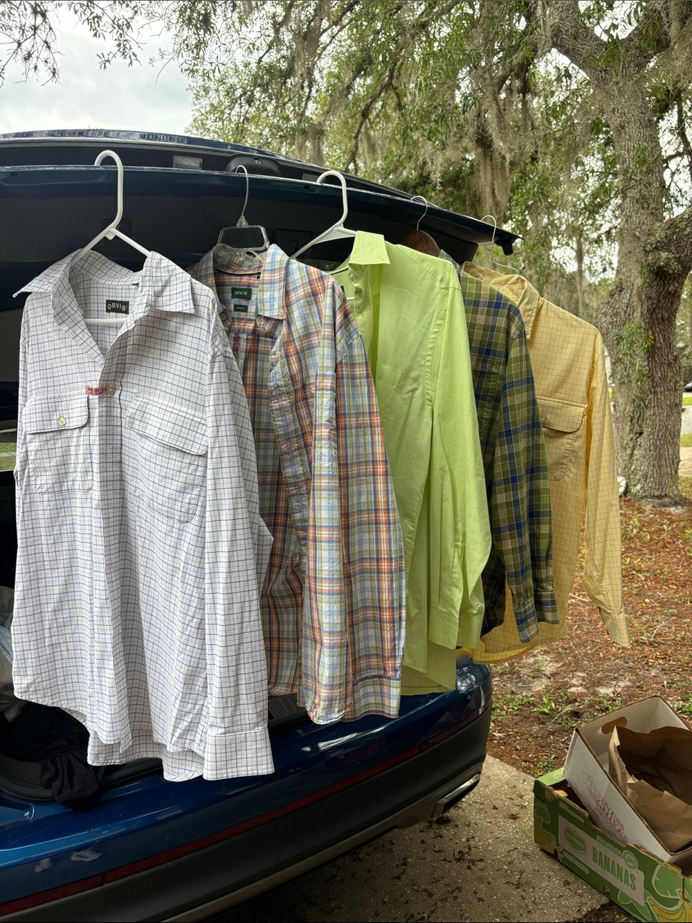 5 Orvis Casual Men's Button-Down Shirt - Light Green Plaid & Solid Options